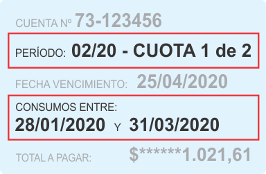 Detalle del consumo